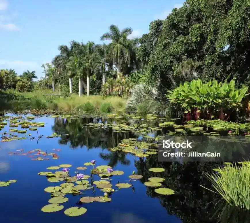 botanical-garden